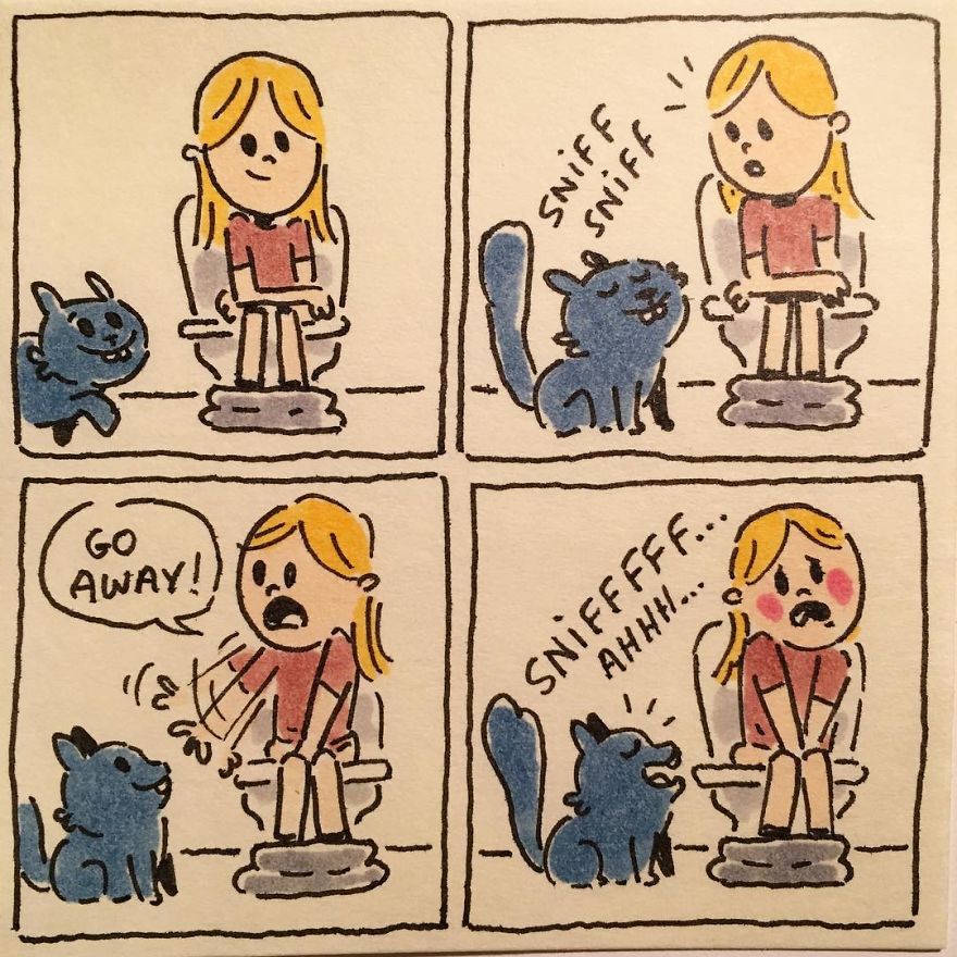 Cat Moments