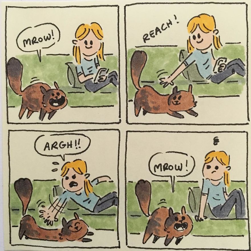 Cat Moments