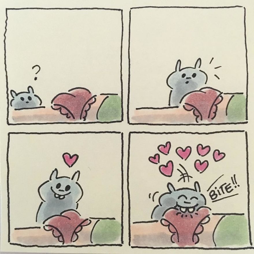 Cat Moments
