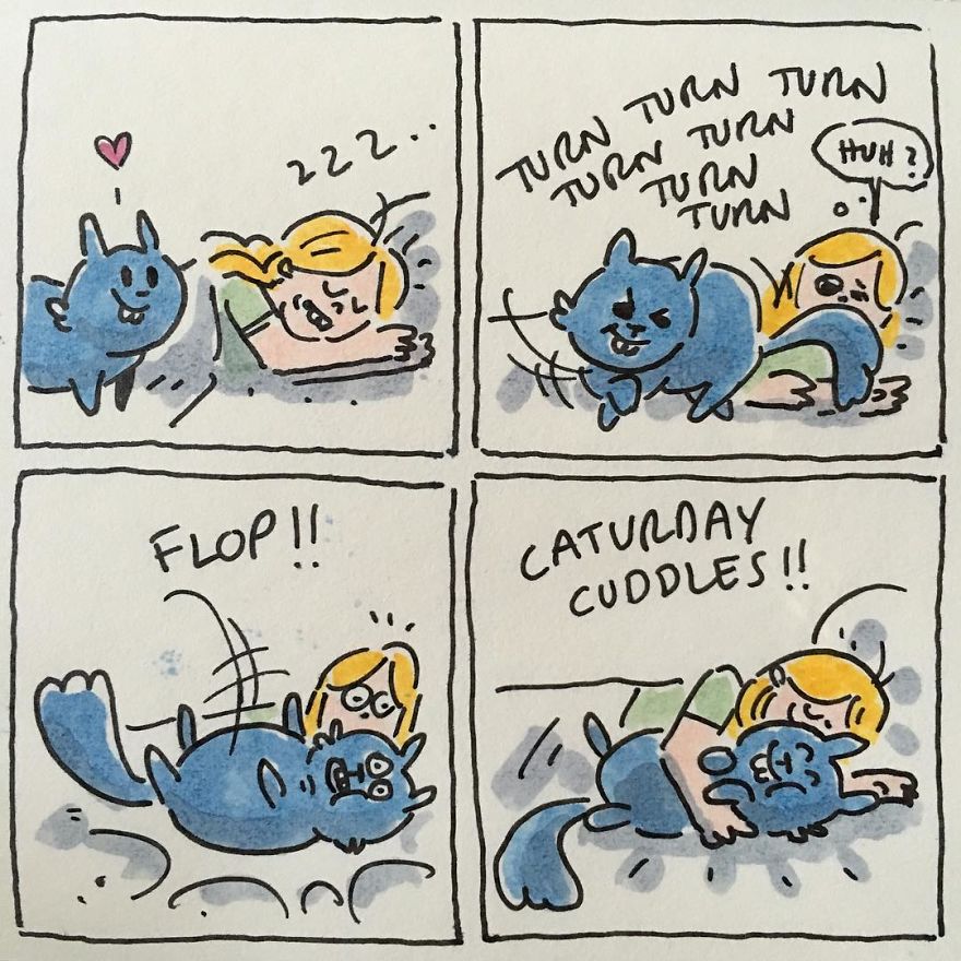 Cat Moments