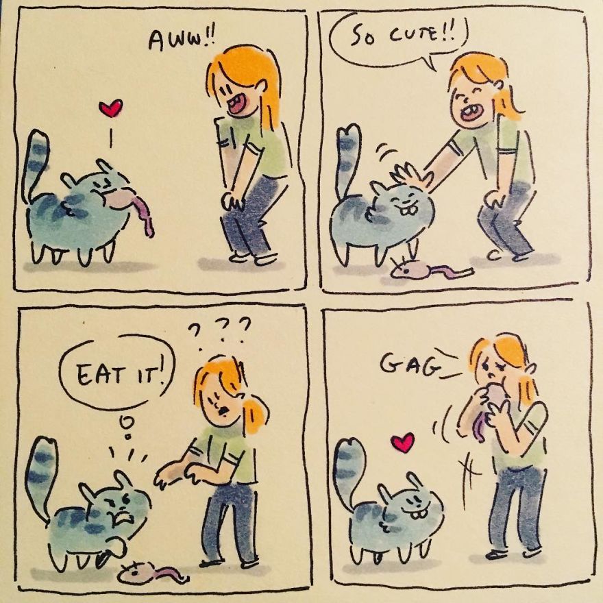 Cat Moments