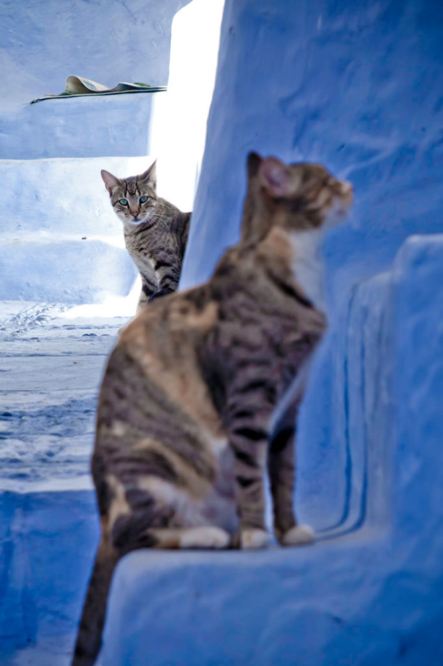 Chefchaouen, The Blue Pearl Of Morocco