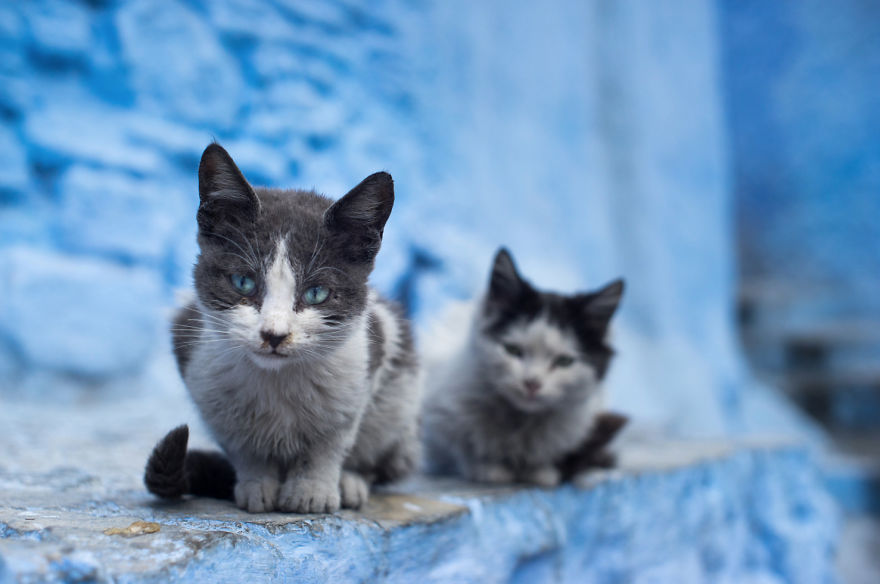 Chefchaouen, The Blue Pearl Of Morocco