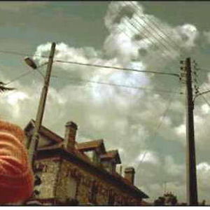 chiefbearcloud avatar