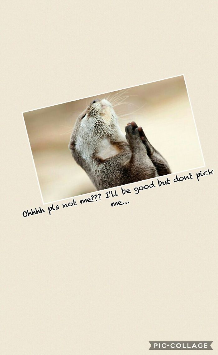 Save Your Last Prayer..