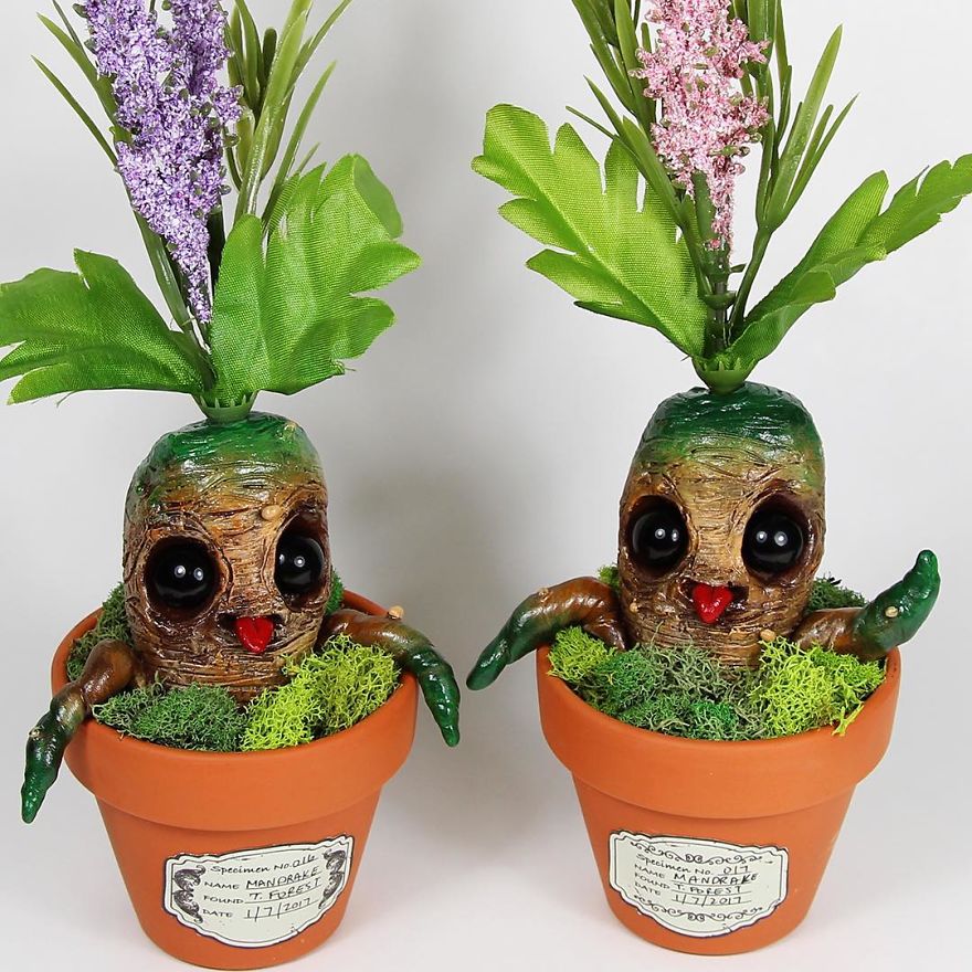 Creatures That Shouldn't Be Alive