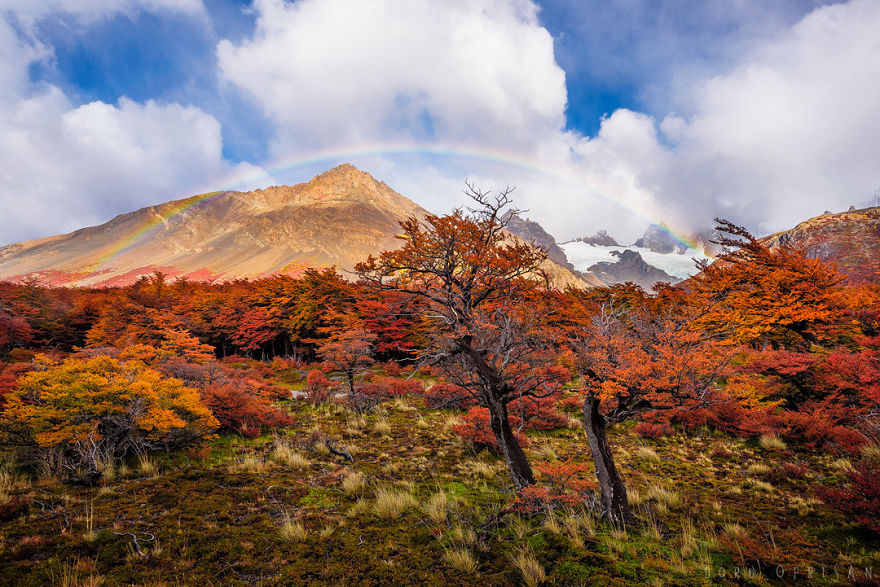 The End Of The Earth Is Full Of Colors