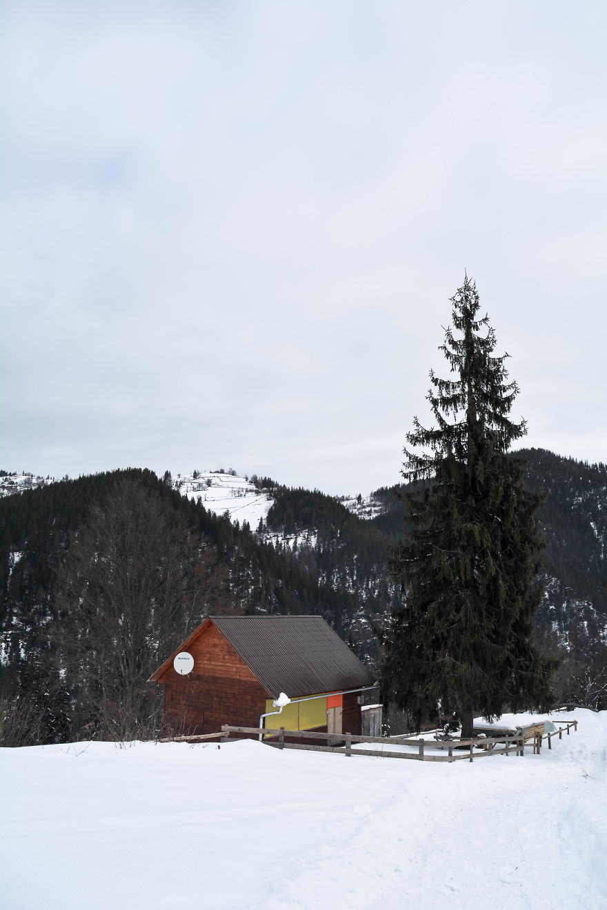 Beautiful Winter Around Us