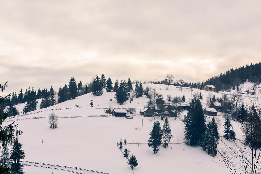 Beautiful Winter Around Us