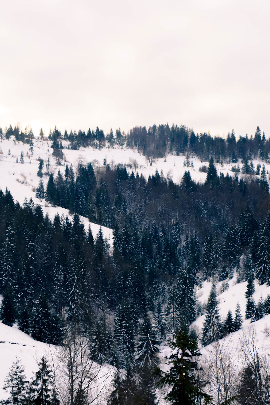 Beautiful Winter Around Us