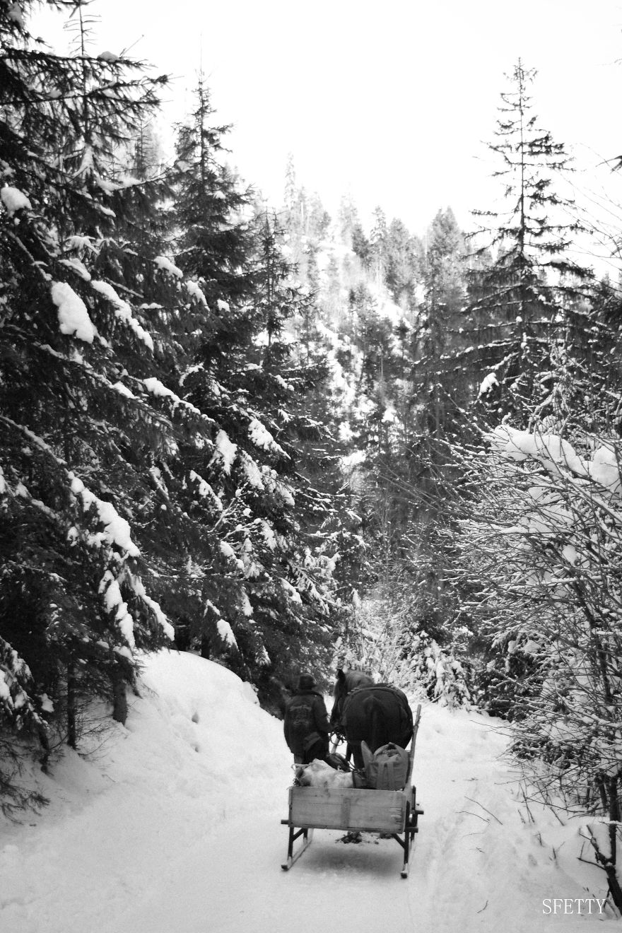 Beautiful Winter Around Us