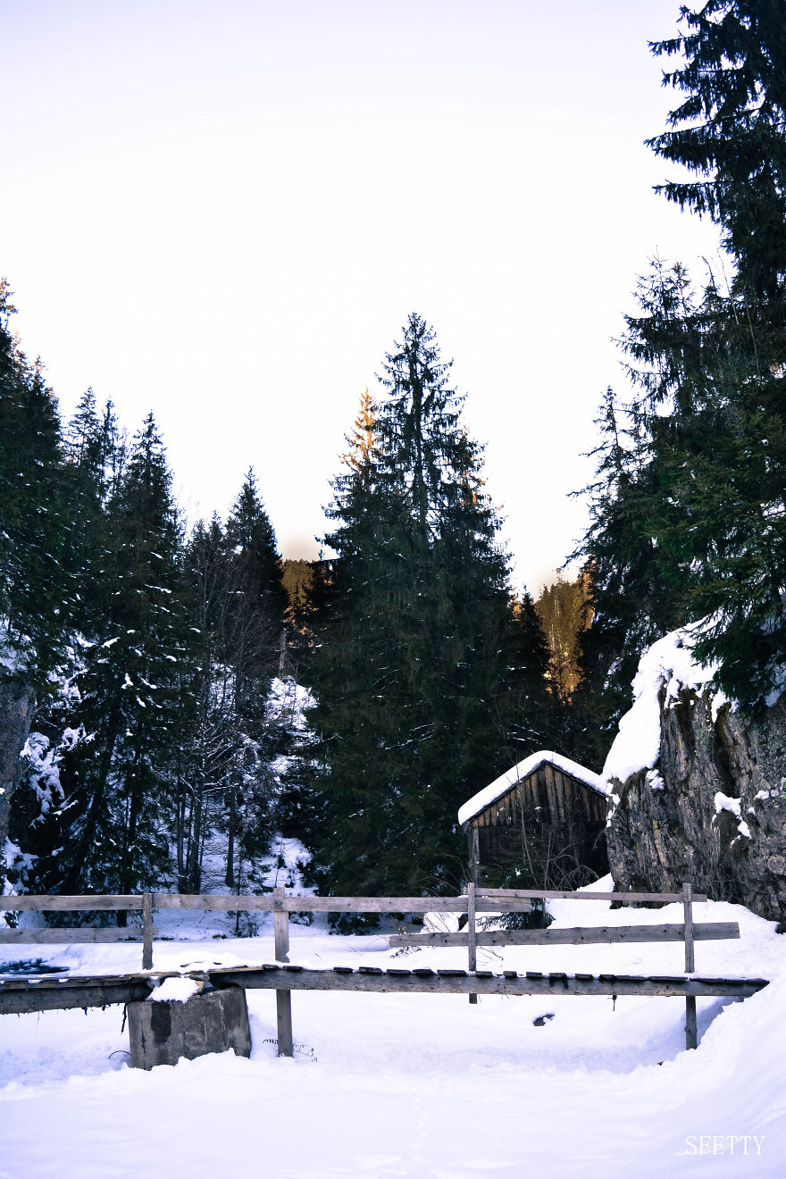 Beautiful Winter Around Us