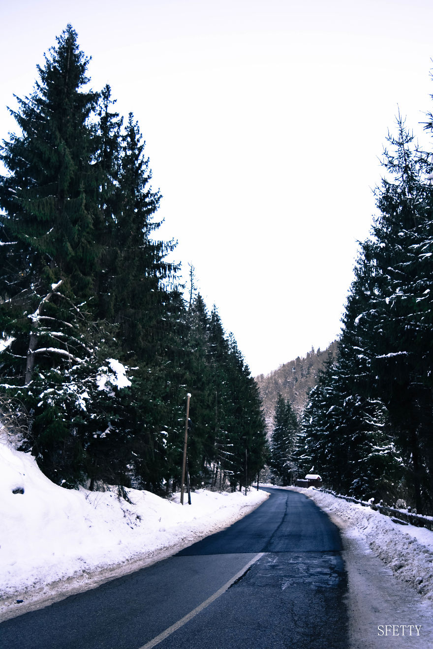 Beautiful Winter Around Us