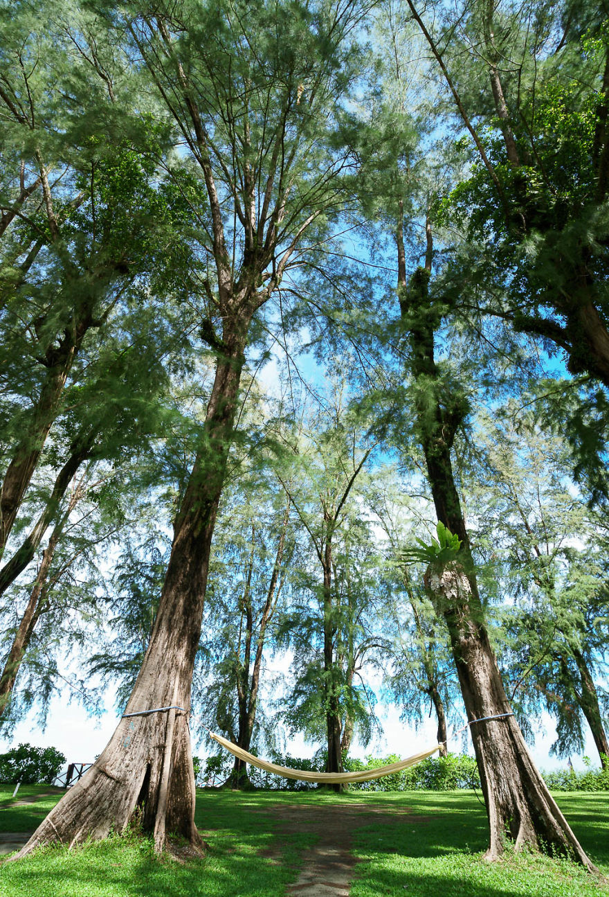 My Journey To Penang, Malaysia