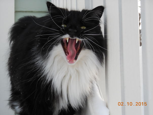 When He Angry At Me....