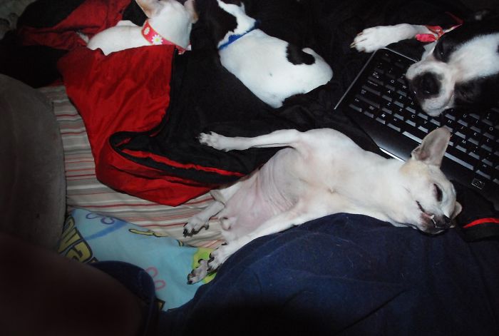 Administrative Assistants