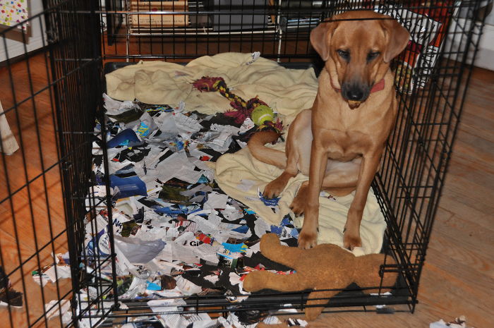 This Used To Be A Time Magazine