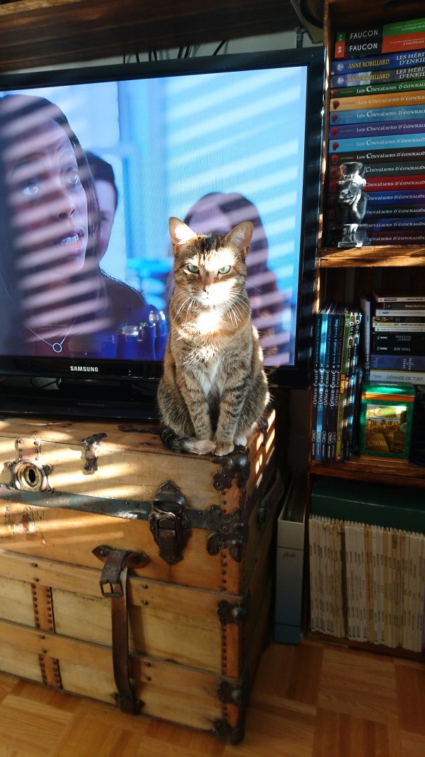 Samantha Wants Her Meal Now.