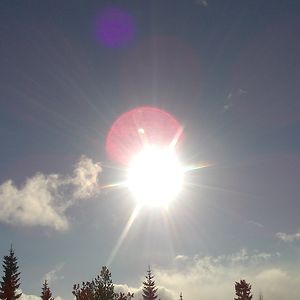 killian_freeman avatar