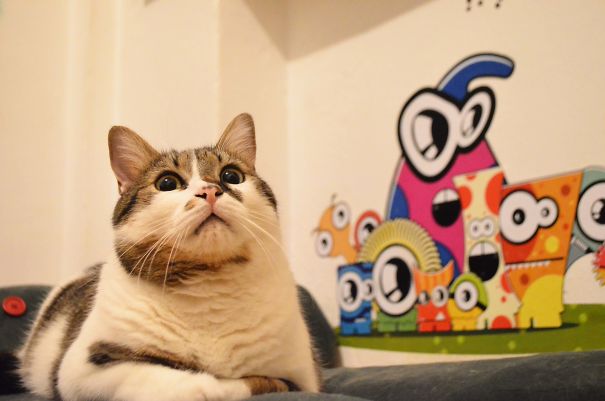 Something`s Fishy Here