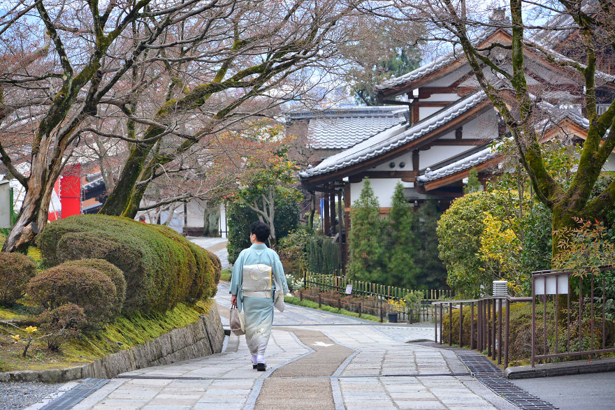 I Spent Two Weeks In Japan And I Fell In Love With This Country Where Past And Future Collide I Spent Two Weeks In Japan And I Fell In Love With This Country Where Past And Future Collide