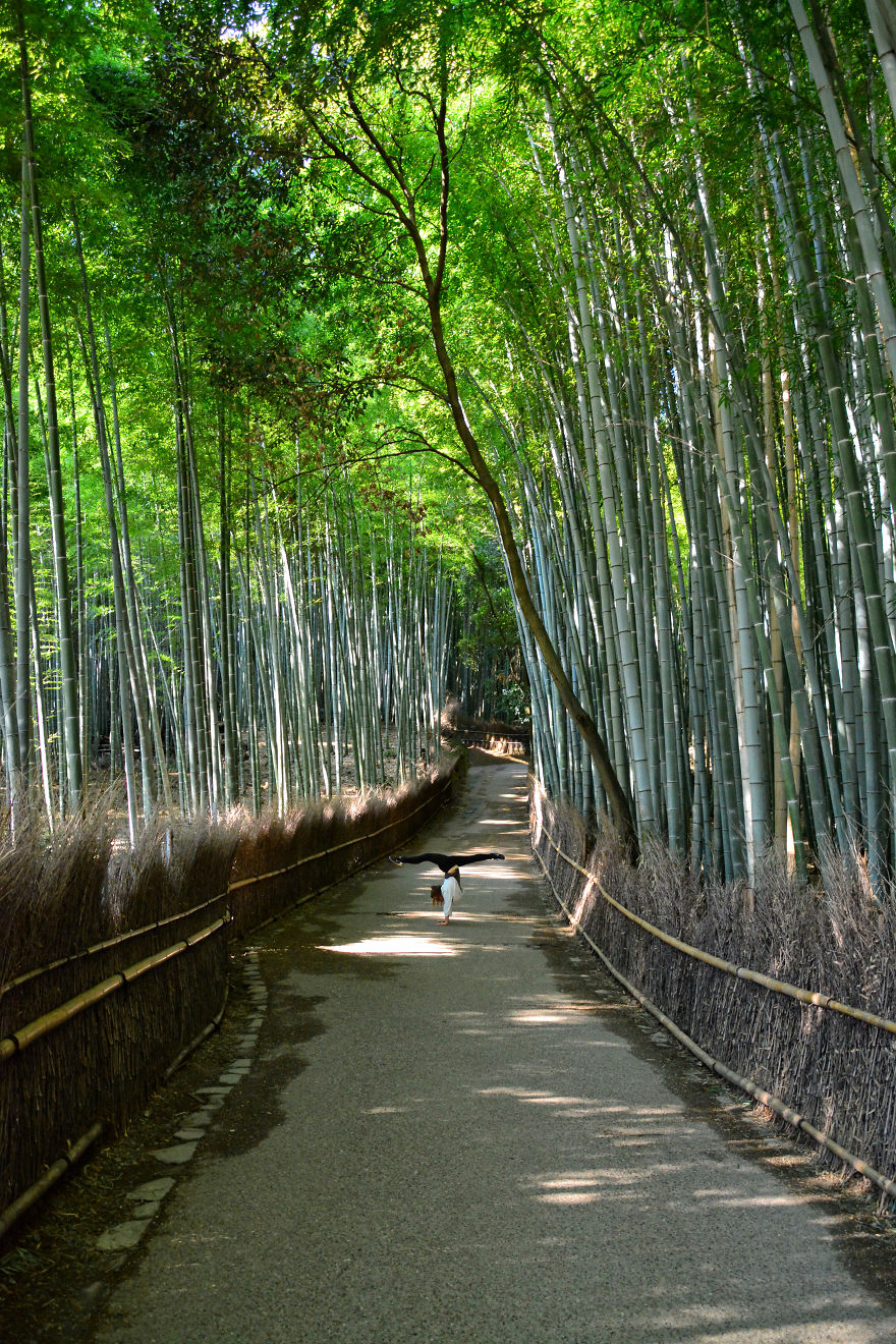 I Spent Two Weeks In Japan And I Fell In Love With This Country Where Past And Future Collide I Spent Two Weeks In Japan And I Fell In Love With This Country Where Past And Future Collide