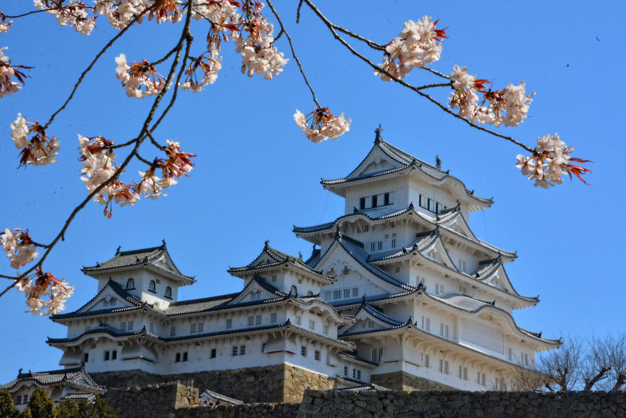 I Spent Two Weeks In Japan And I Fell In Love With This Country Where Past And Future Collide I Spent Two Weeks In Japan And I Fell In Love With This Country Where Past And Future Collide