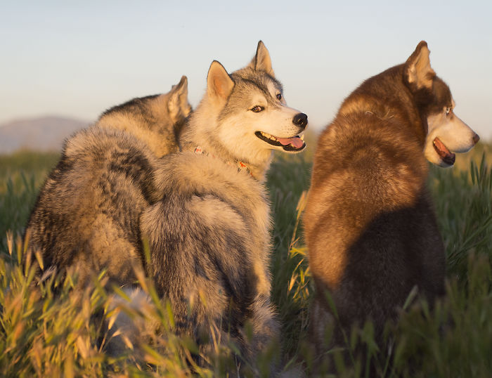 Friends That Sunset Together Stay Together