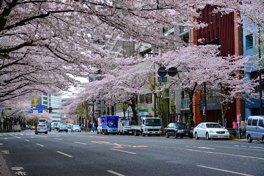 I Spent Two Weeks In Japan And I Fell In Love With This Country Where Past And Future Collide