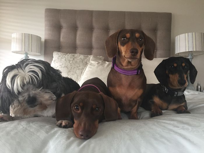 Someone Missed The Memo.