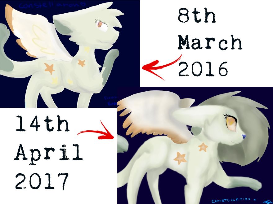 2016 Vs 2017: Progression Over One Year