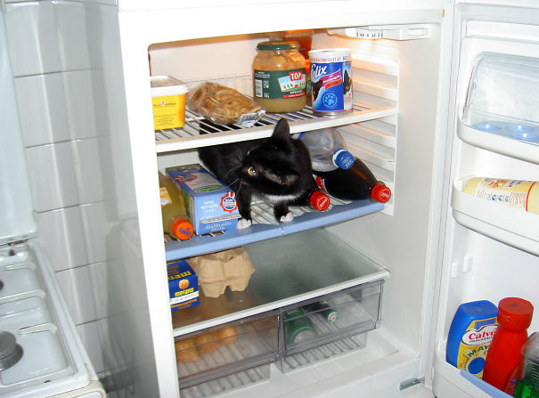 I Know My Food Is In Here ...