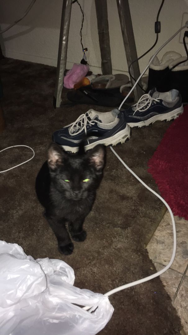 Another Picture? Ahhh! If You Must...