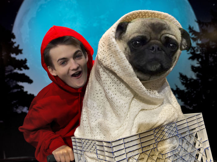E.t. Go Home