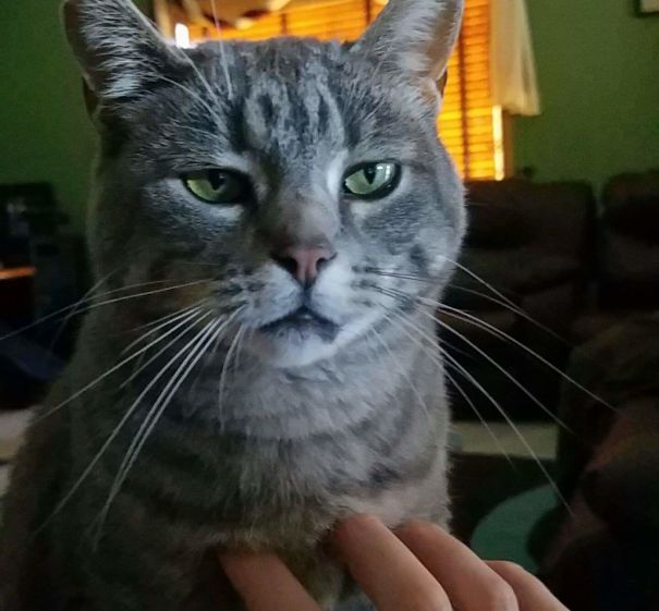 Jenny Is Not Impressed.