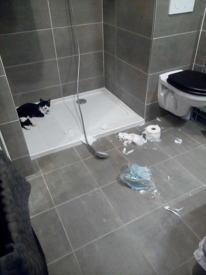 I Know Who's Responsible For This, But I Won't Tell You.