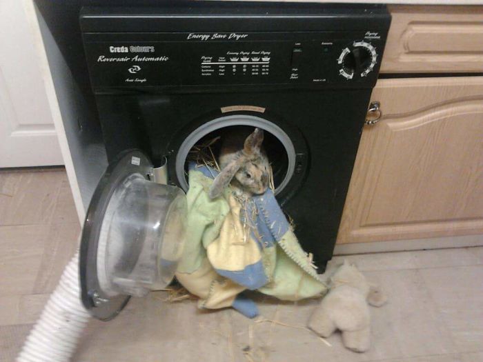 I Wanted A New Bed Mum