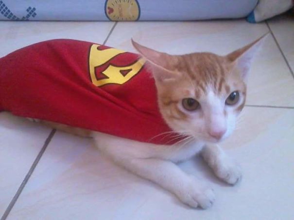 Left My Daughter And Cat For A While And This Is What I Found...the Cat Sure Is Not Happy