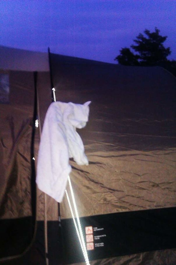 A Towel Hanging Outside My Tent Aka Grumpy Cat