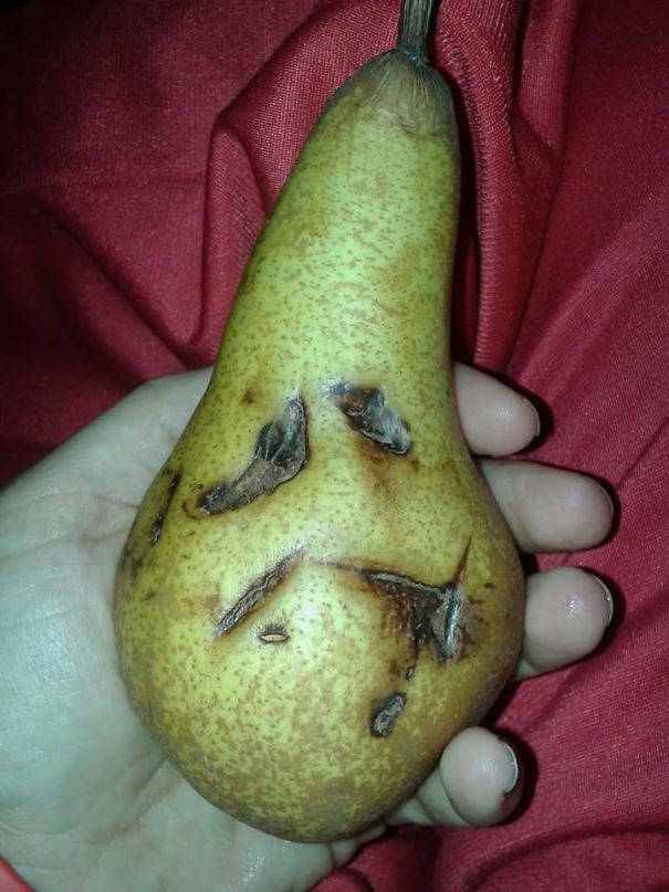 Please....don't Eat Me!