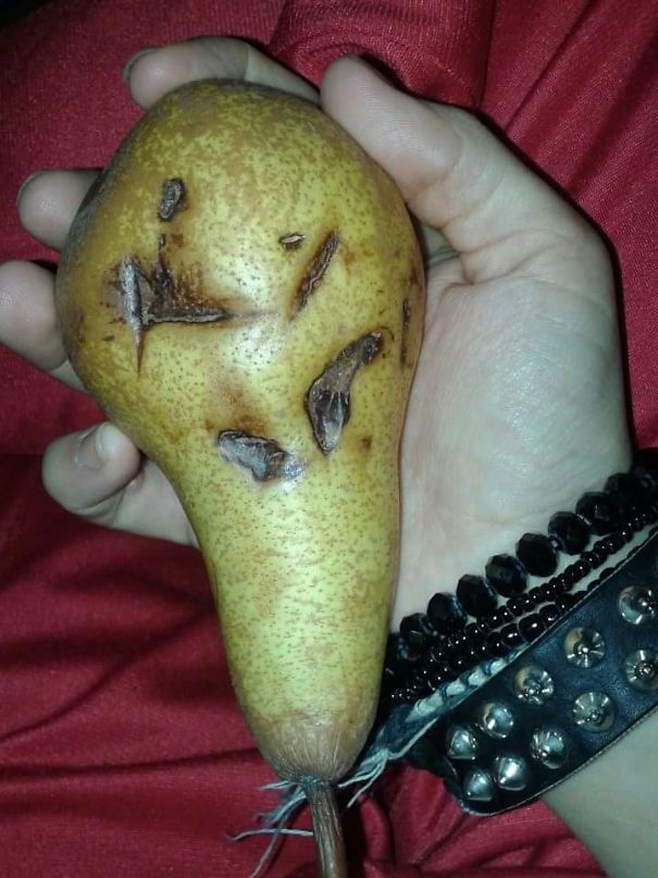 Arrrrrr!mates!savey?