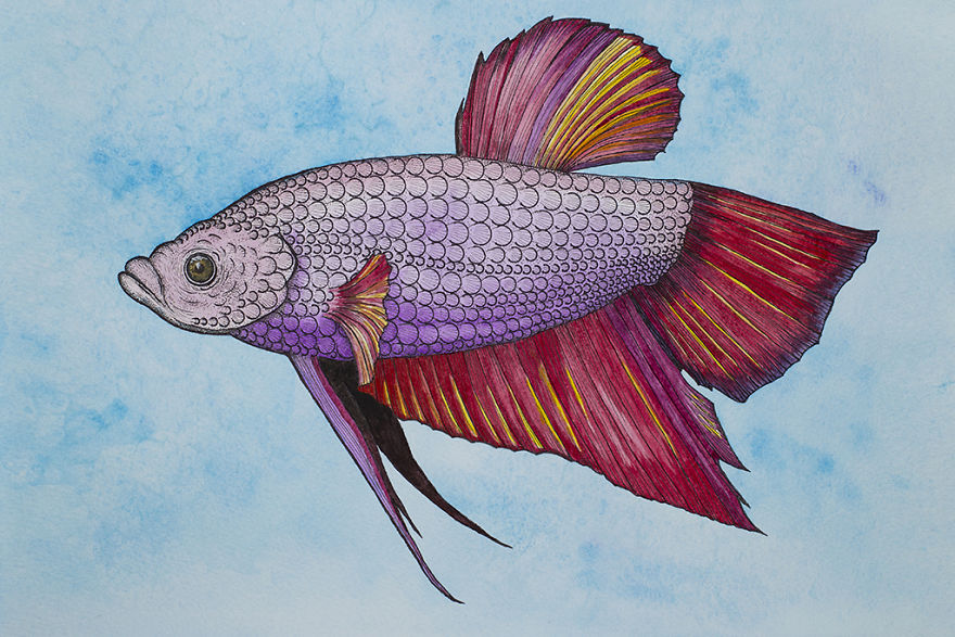 New Animals At Watercolour Zoo