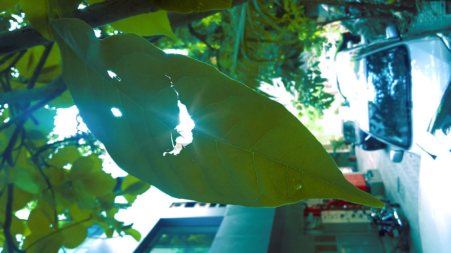 God Texts Me Smiles :) [50+pics Facetime God]