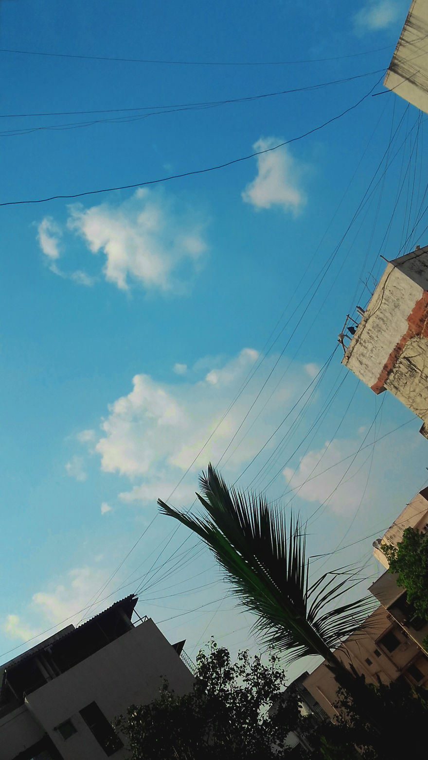 God Texts Me Smiles :) [50+pics Facetime God]