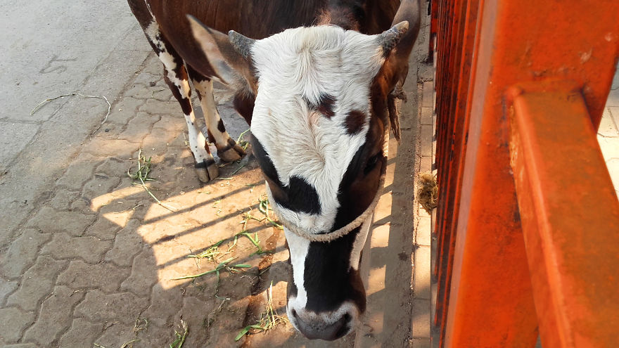 God Texts Me Smiles :) [50+pics Facetime God]