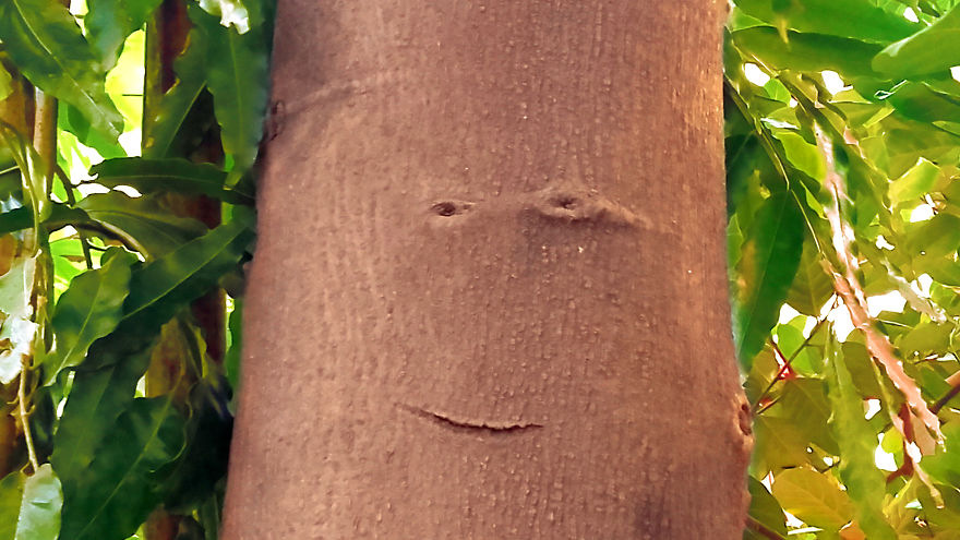 God Texts Me Smiles :) [50+pics Facetime God]