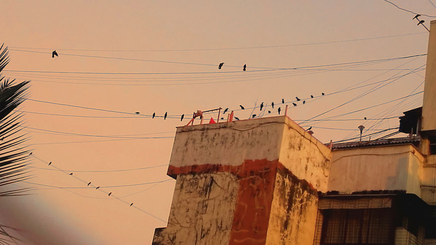 God Texts Me Smiles :) [50+pics Facetime God]