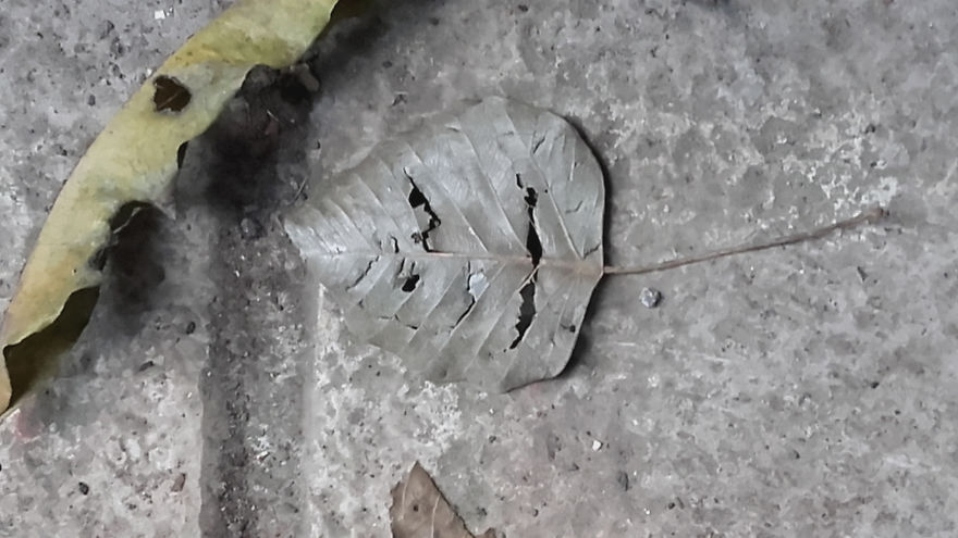 God Texts Me Smiles :) [50+pics Facetime God]