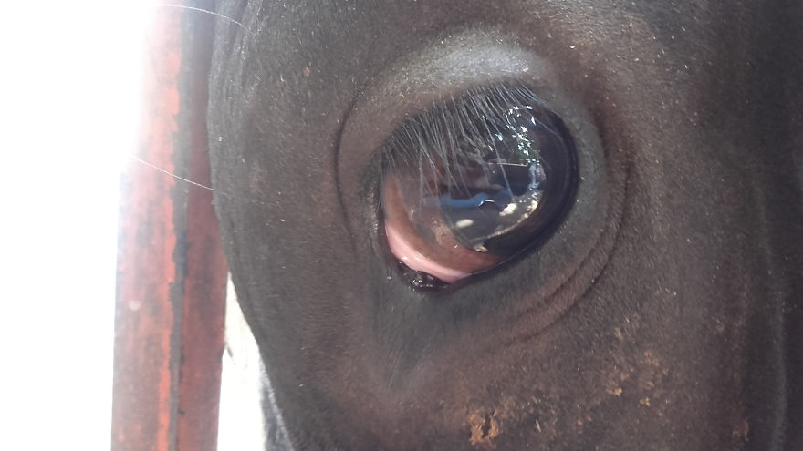 God Texts Me Smiles :) [50+pics Facetime God]