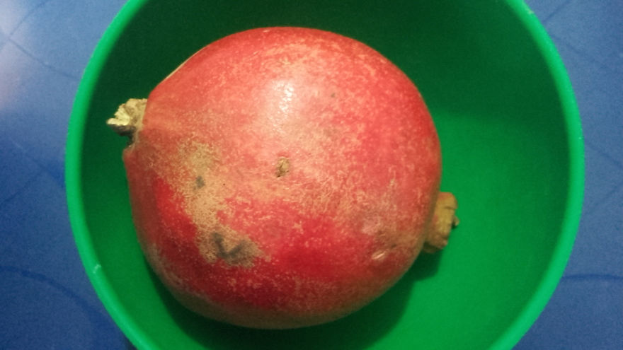 God Texts Me Smiles :) [50+pics Facetime God]